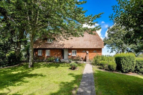 Reetdachhaus inmitten von Wiesen und Feldern